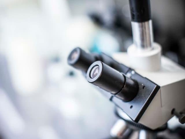 pharmaceutical material sciences