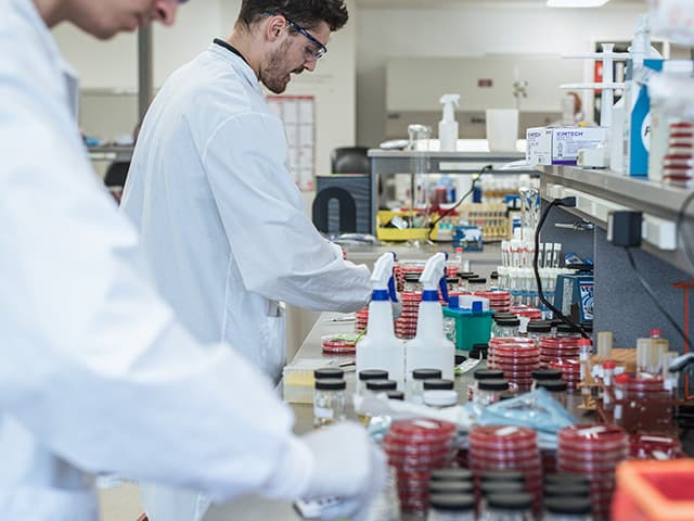 Microbiology Testing of Treated Articles