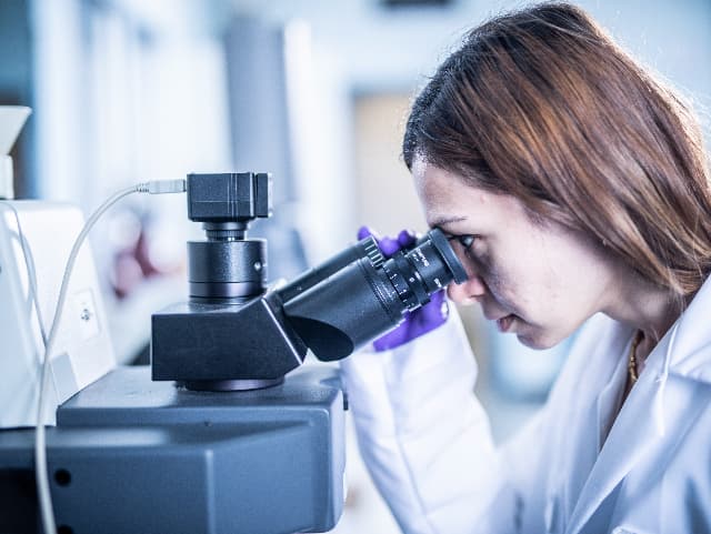 Solid state characterization of active pharmaceutical ingredients