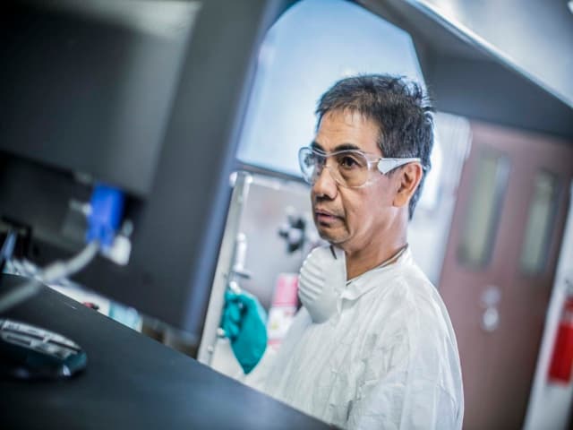 Thermogravimetric Analysis (TGA)