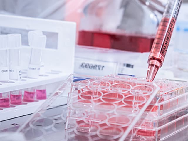 Comprehensive GLP virology efficacy testing to EPA, FDA, TGA & Health Canada requirements